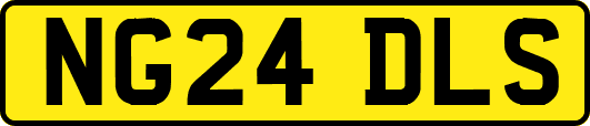 NG24DLS