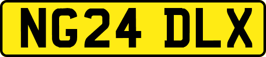 NG24DLX