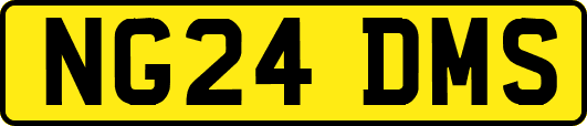 NG24DMS