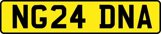 NG24DNA