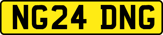 NG24DNG