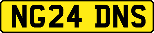 NG24DNS