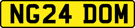 NG24DOM