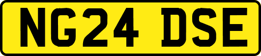 NG24DSE