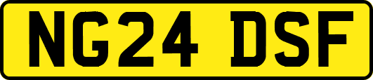 NG24DSF