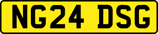 NG24DSG