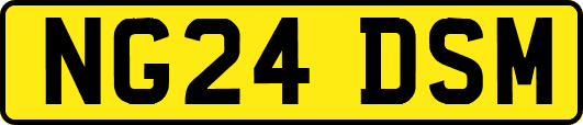 NG24DSM