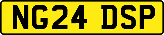 NG24DSP