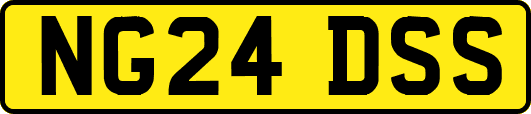 NG24DSS