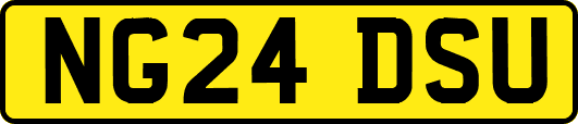NG24DSU