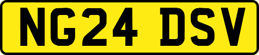 NG24DSV