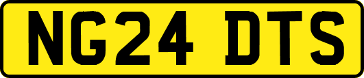 NG24DTS