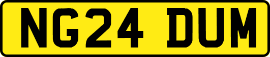 NG24DUM