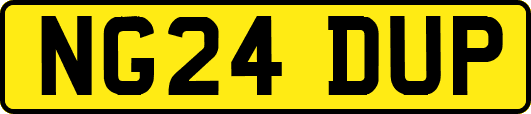 NG24DUP
