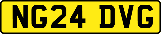 NG24DVG