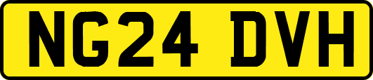 NG24DVH