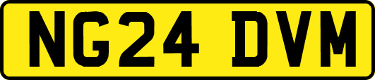 NG24DVM