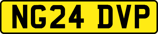 NG24DVP