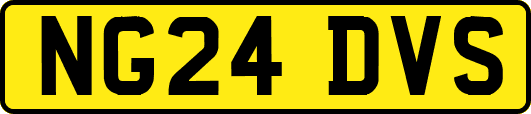 NG24DVS