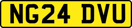 NG24DVU