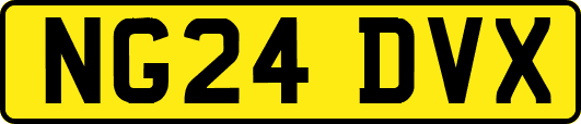 NG24DVX