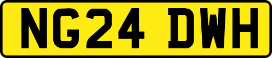 NG24DWH