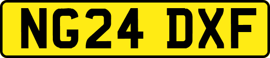 NG24DXF