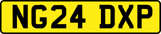 NG24DXP