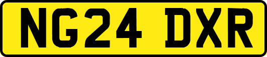 NG24DXR