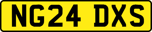 NG24DXS