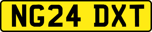 NG24DXT