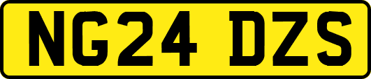 NG24DZS