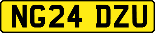 NG24DZU