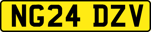NG24DZV
