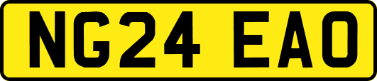 NG24EAO