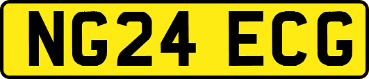 NG24ECG