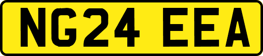 NG24EEA