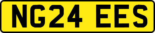 NG24EES