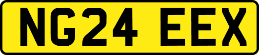 NG24EEX