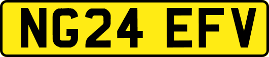 NG24EFV