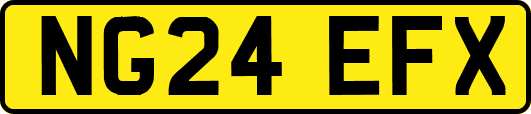 NG24EFX
