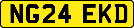 NG24EKD