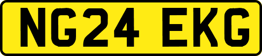 NG24EKG