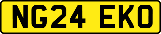 NG24EKO