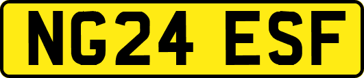 NG24ESF