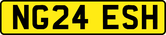 NG24ESH