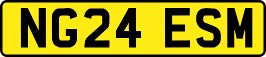NG24ESM