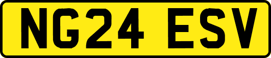 NG24ESV