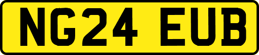 NG24EUB