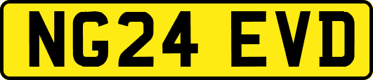 NG24EVD